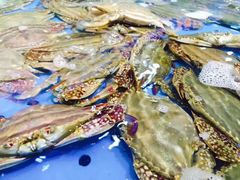 -天天鱼港·海鲜·鲅鱼水饺·招牌烤鸭(黄骅店)