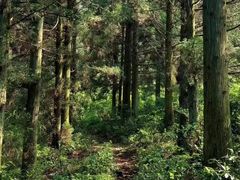 -白云源风景区