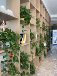 点击看大图 -碧莲盛·不剃发植发