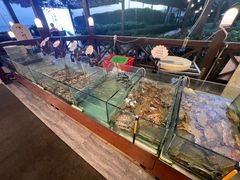 -渔家火锅·海鲜自助餐·演艺(亚龙湾天域酒店)