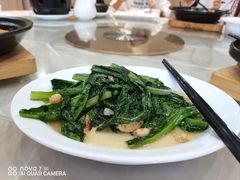 蒜蓉炒油麦菜-华南师范大学石牌校区陶园