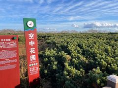 -凤凰山国家森林公园