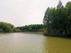 -苏州太湖国家湿地公园