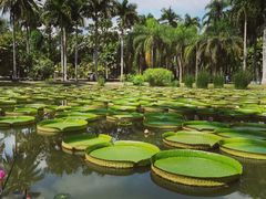 -中国科学院西双版纳热带植物园