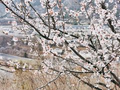 -居庸关长城