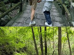 -牛背梁国家森林公园