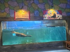 -梦幻海洋王国(吾悦广场张家港店)
