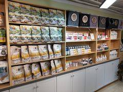 -猫十亿·布偶金渐层·曼基康矮脚猫舍(青年路店)