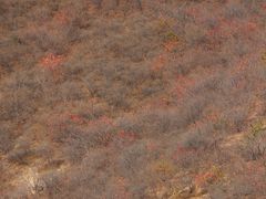 -古崖居风景名胜区
