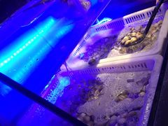 -星伦多自助料理·涮烤一体(嘉兴八佰伴店)
