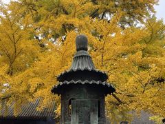 -红螺寺