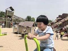 -枫香湖儿童公园
