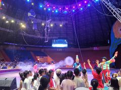 -俄罗斯国家大马戏团