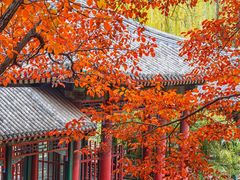 -颐和园