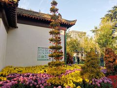 -莲湖公园