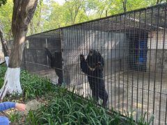 -南宁市动物园
