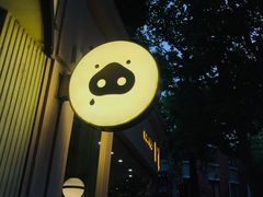 -WHEN PIGS FLY当猪飞