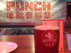 -Boxing Cat Brewery拳击猫精酿啤酒馆(永福店)