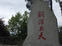 -铁山坪森林公园