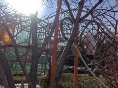 -廊坊固安福朋喜来登酒店