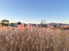 -野鸭湖国家湿地公园