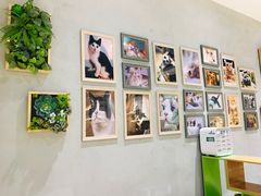 -藏猫猫咖啡主题馆(中央大道店)