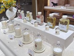 -BEAST野兽派(上海浦东嘉里城店)