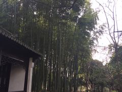 -汇龙潭