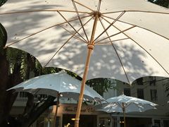 -Fern Forest Cafe