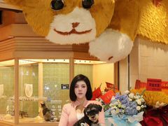 -帕帕拉兹宠物(亚洲旗舰店)