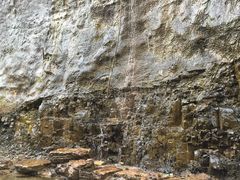 -天鹅湖生态旅游风景区