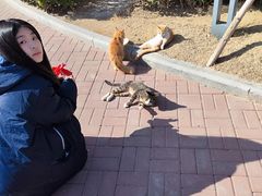 -复旦大学附属华山医院(虹桥院区)