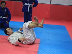 -金翼跆拳道巴西柔术拳击格斗学院