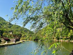-桃花岭景区