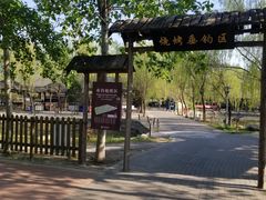 -杨柳青庄园