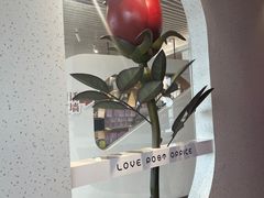 -爱情邮局