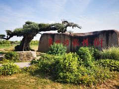 -海上花岛玫瑰园采摘