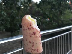 -老王豆皮