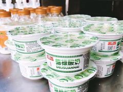 -德禄酸奶(莫家街店)