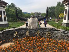 -武清南湖绿博园