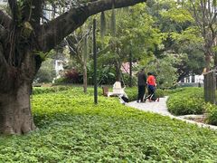 -百年果林椰子鸡(中洲店)