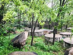 -碓臼峪自然风景区