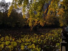 -四川大学(华西校区)