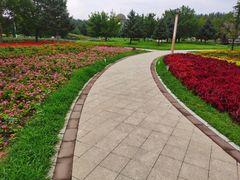 -长春公园(普阳街道)