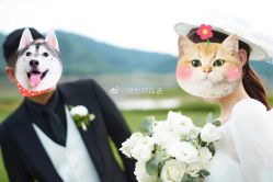 -CD视觉婚纱摄影