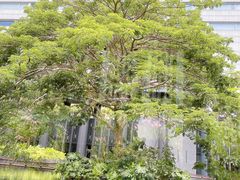 -三亚太阳湾柏悦酒店