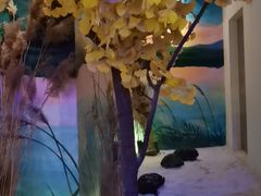 -淀里船宴(卓达店)