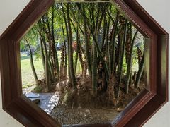 -深圳仙湖植物园