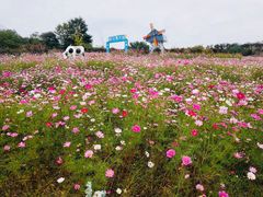 -武汉紫薇都市田园