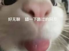 -白兔子密室(长寿路店)